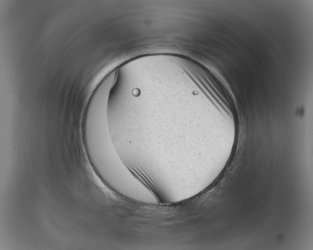 X0000114411197200911131421