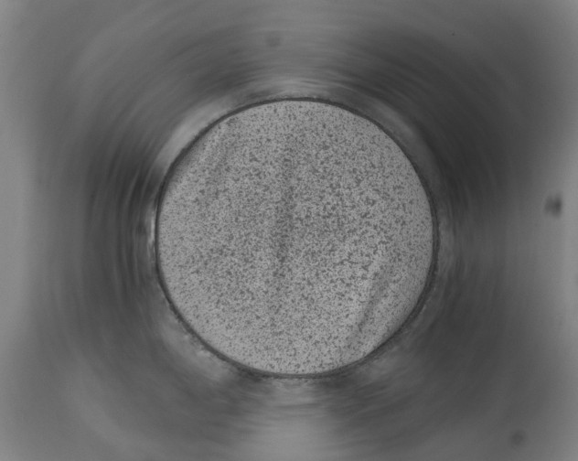 X0000114411198200911131421