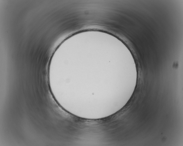 X0000114411199200911131421