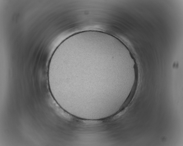 X0000114411200200911131421