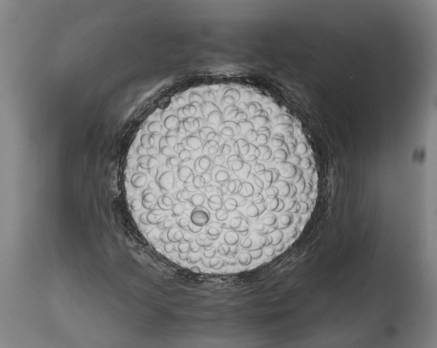 X0000114411205200911131420