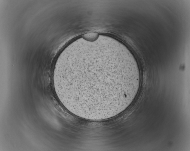 X0000114411212200911131420