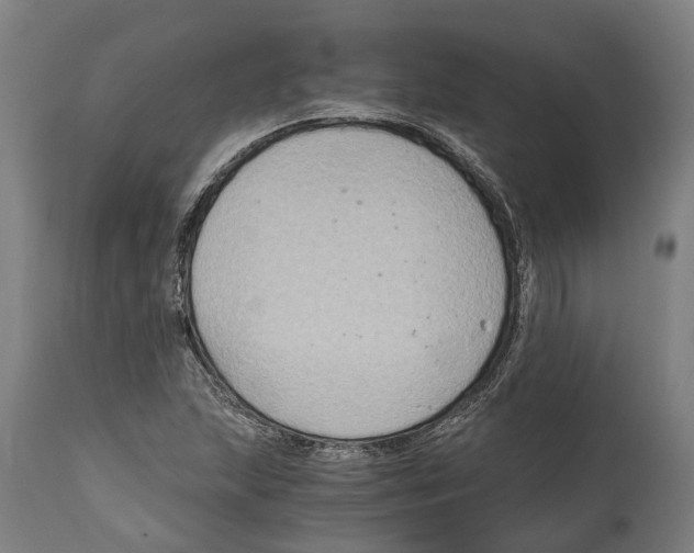 X0000114411215200911131420