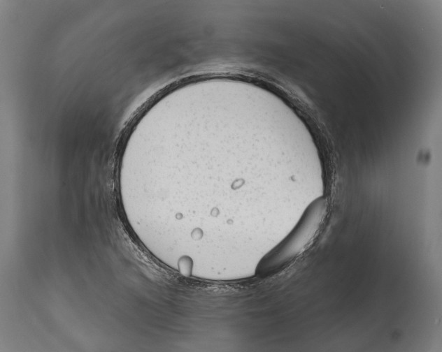 X0000114411216200911131420