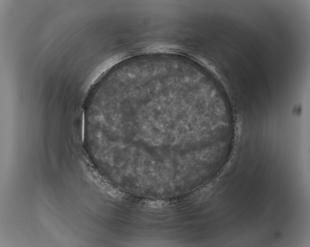 X0000114411219200911131420