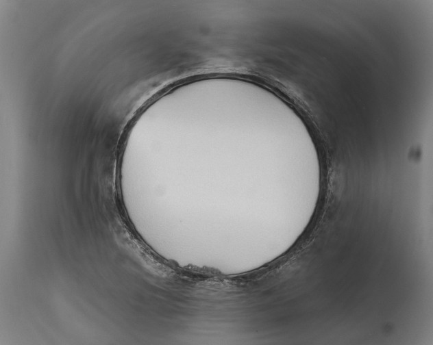 X0000114411220200911131421