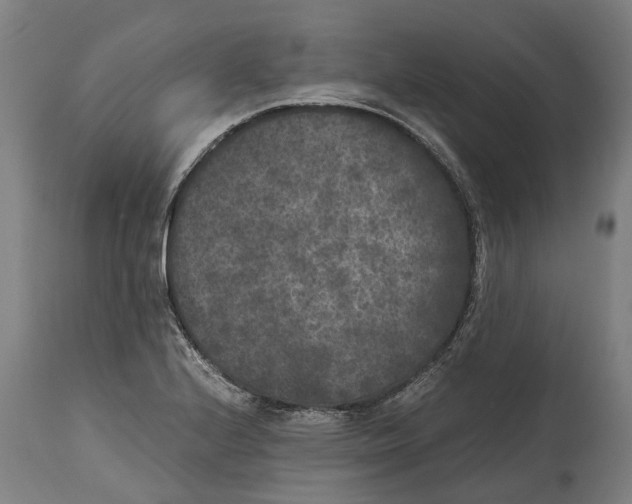 X0000114411224200911131421