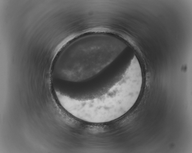 X0000114411229200911131421