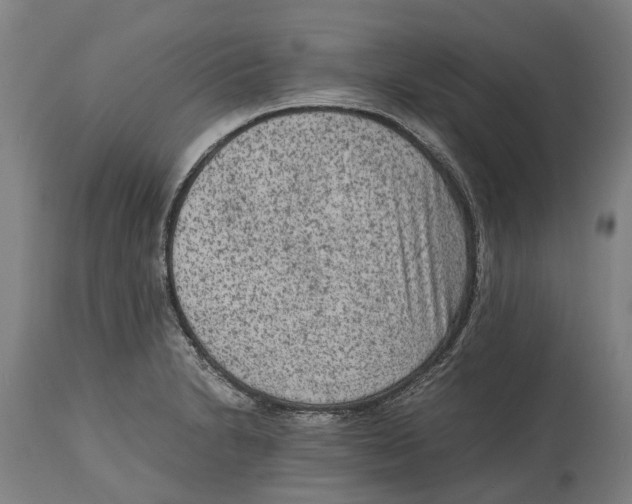 X0000114411230200911131421