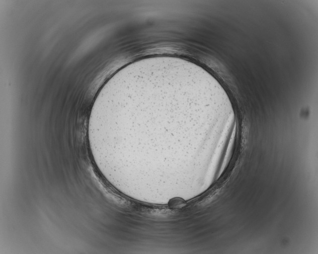 X0000114411233200911131421