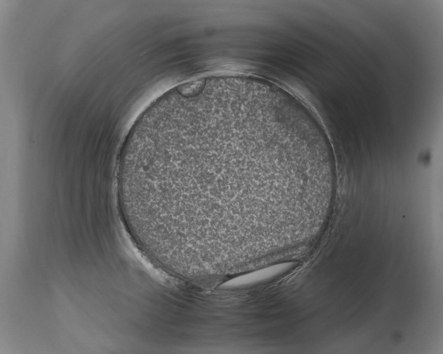 X0000114411235200911131421