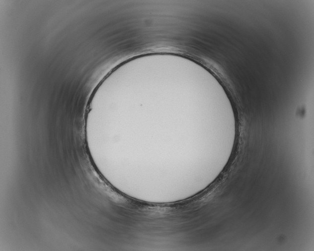 X0000114411236200911131421