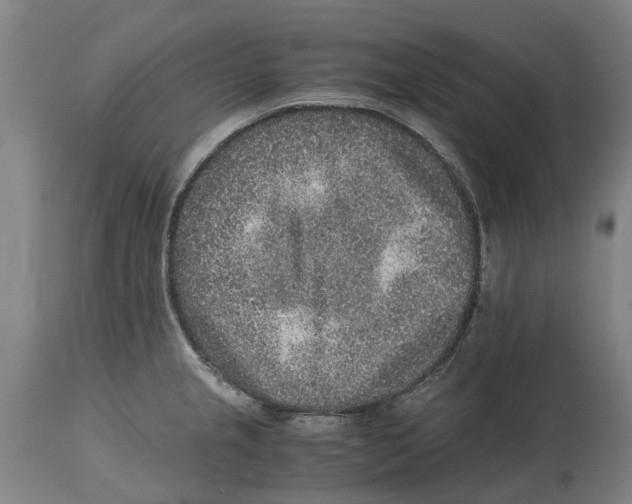 X0000114411237200911131421