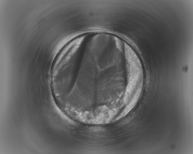 X0000114411239200911131421