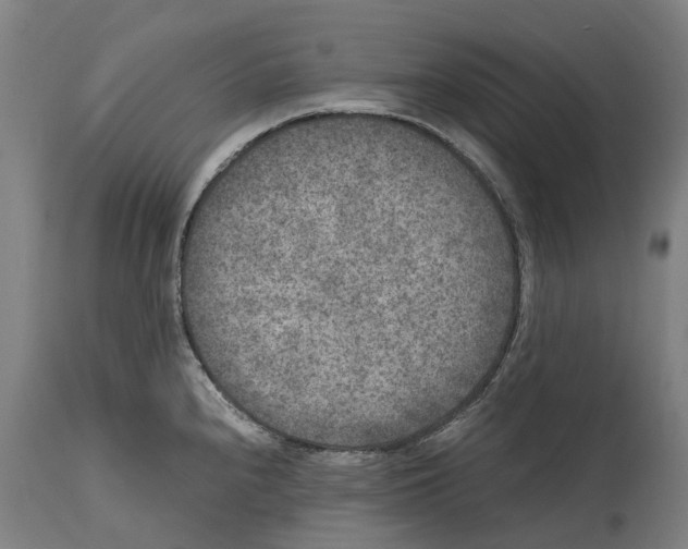 X0000114411240200911131421