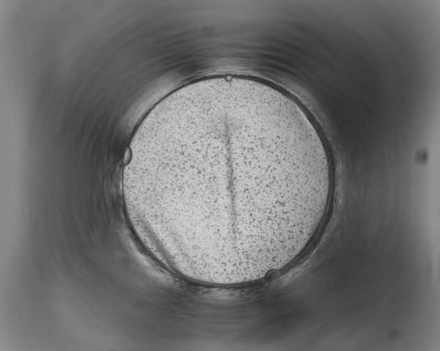 X0000114411241200911131421