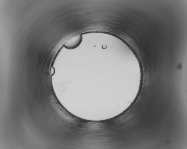 X0000114411242200911131421