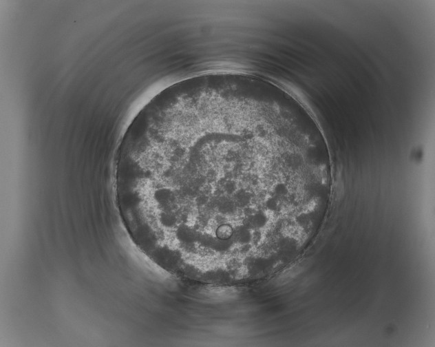 X0000114411243200911131421