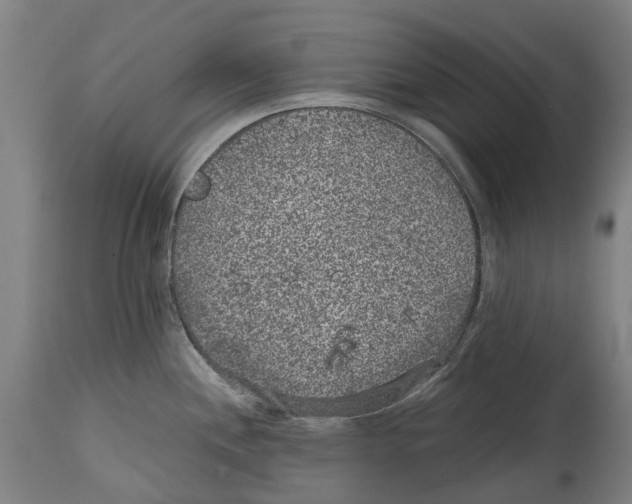 X0000114411244200911131421