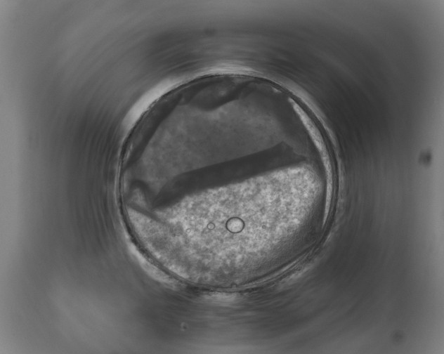 X0000114411245200911131421