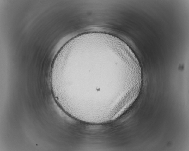 X0000114411247200911131421