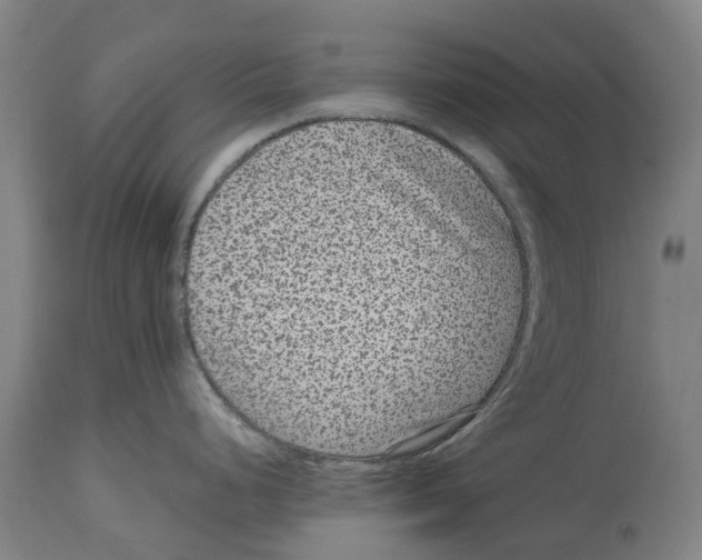 X0000114411248200911131421