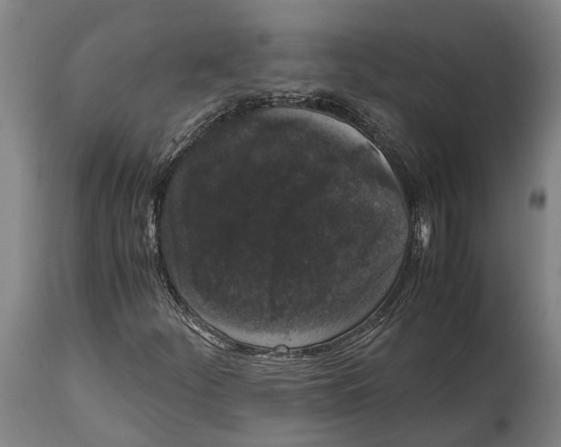 X0000114411252200911131420