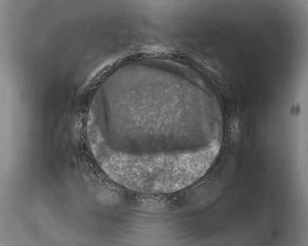 X0000114411254200911131420