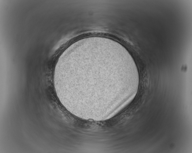 X0000114411255200911131420