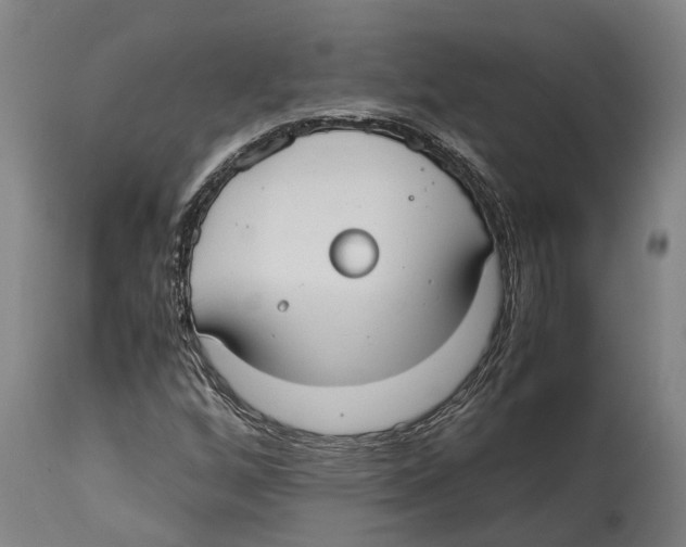 X0000114411256200911131420