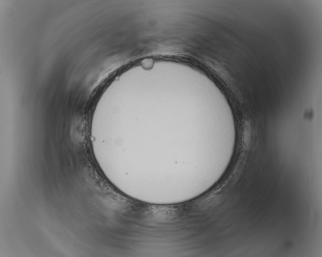 X0000114411258200911131420