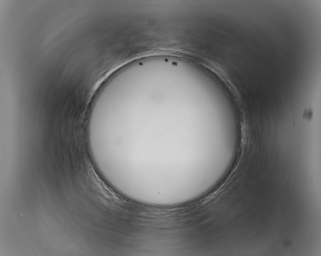 X0000114411260200911131420