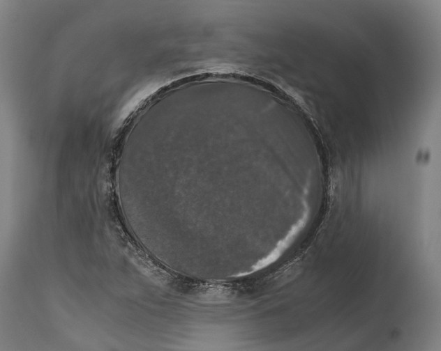 X0000114411263200911131420