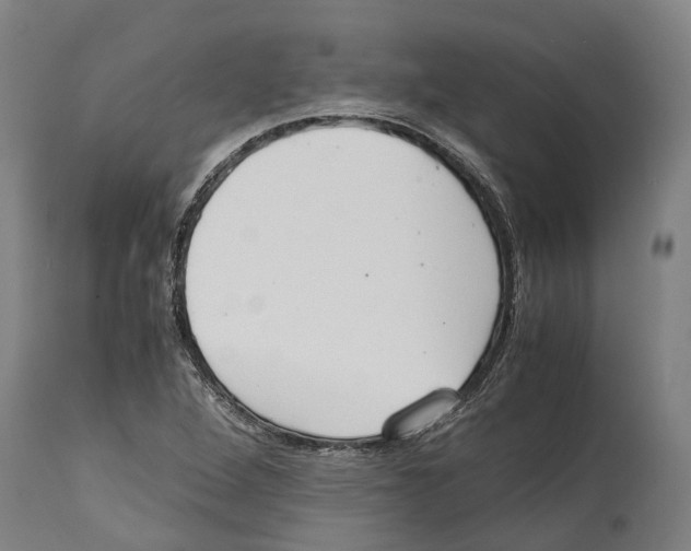 X0000114411264200911131420