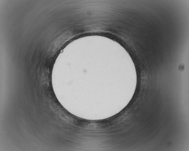 X0000114411265200911131420