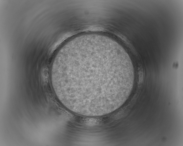 X0000114411266200911131420