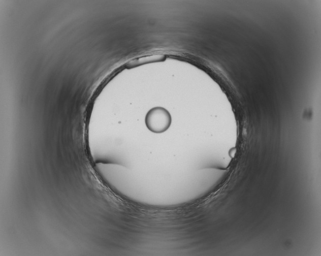 X0000114411268200911131420