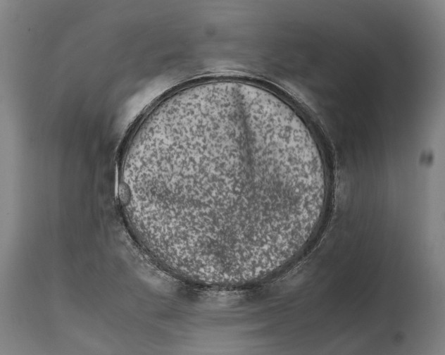 X0000114411269200911131420