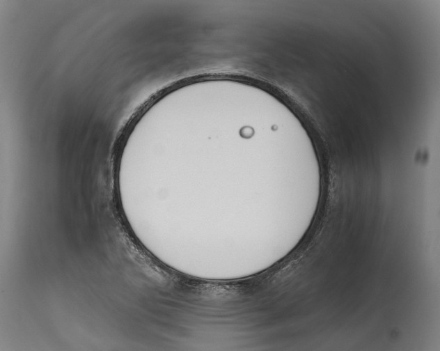 X0000114411270200911131420