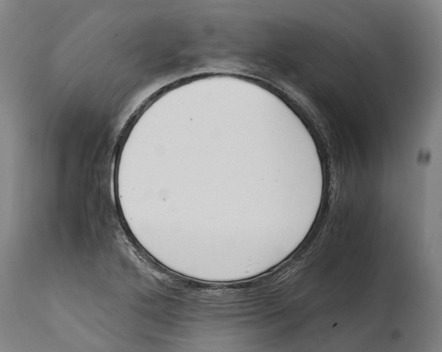 X0000114411272200911131420