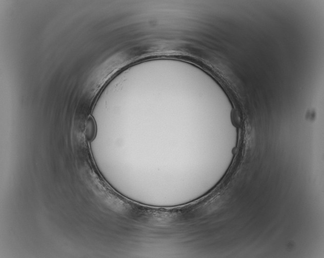 X0000114411273200911131420