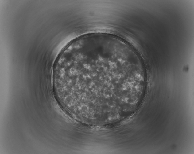 X0000114411275200911131420