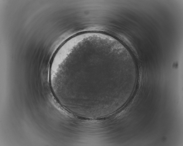 X0000114411276200911131420