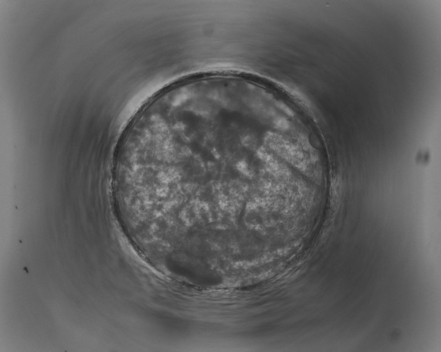 X0000114411279200911131420