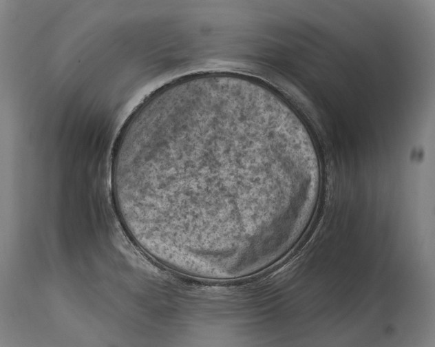 X0000114411280200911131420