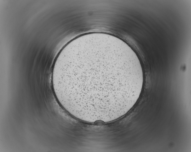 X0000114411284200911131420