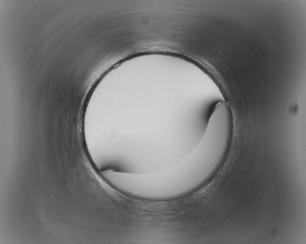 X0000114411285200911131420