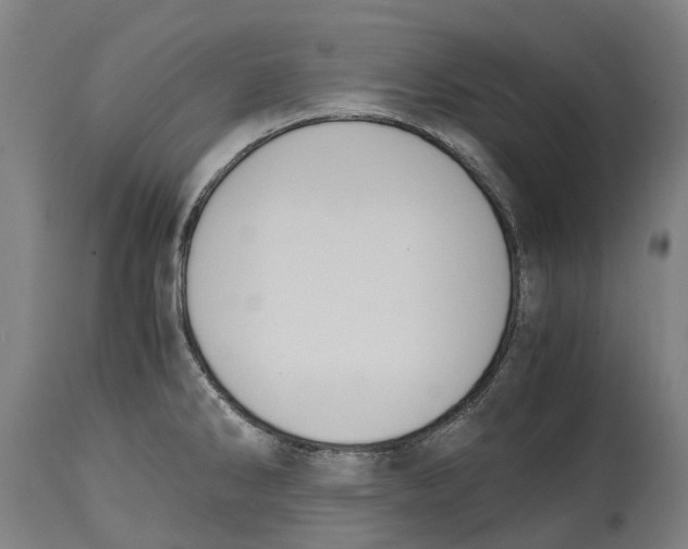 X0000114411286200911131420