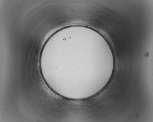 X0000114411288200911131420