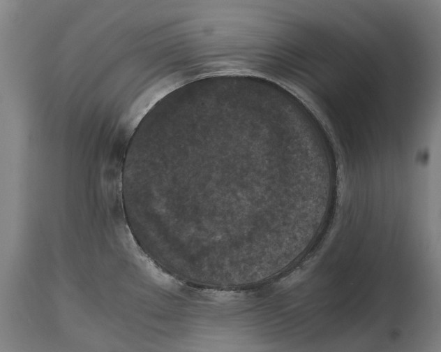 X0000114411289200911131420